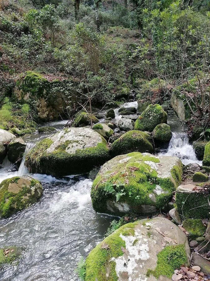 Apartamento Casa Quercus con piscina privada Cortes de la Frontera