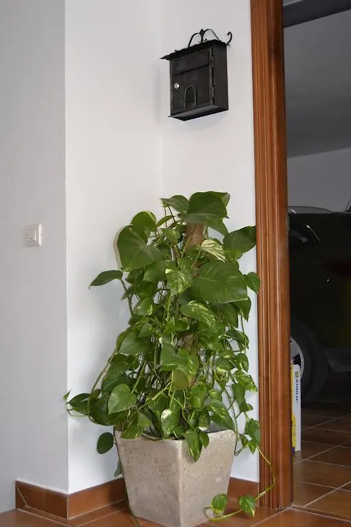 Apartamento Casa Quercus con piscina privada Cortes de la Frontera
